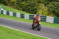 Advanced Group Orange Bikes